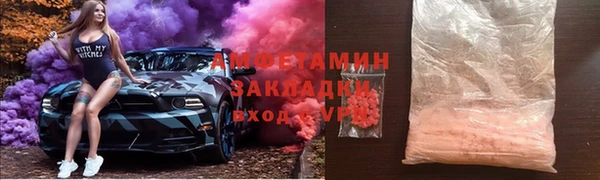 мдпв Гусев