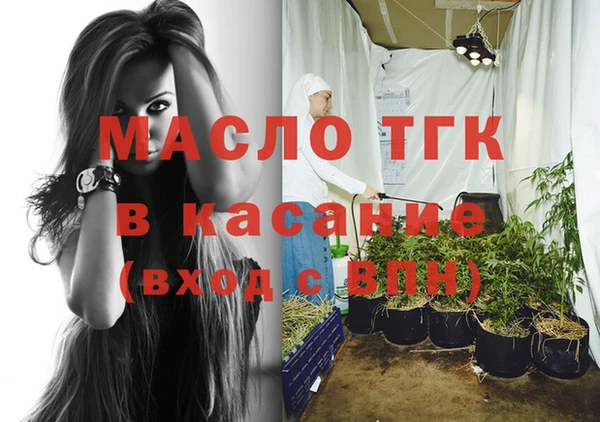 мдпв Гусев