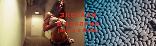 мдпв Гусев