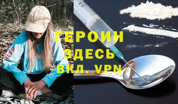 мдпв Гусев