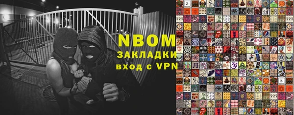 мдпв Гусев