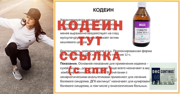 мдпв Гусев