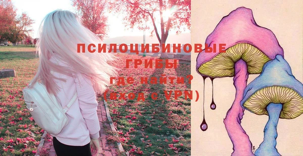 mdpv Гусь-Хрустальный