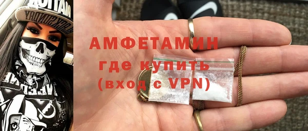 мдпв Гусев
