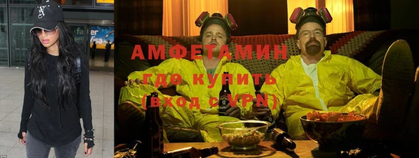 мдпв Гусев