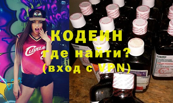 мдпв Гусев